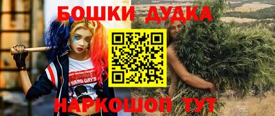 амф Сланцы
