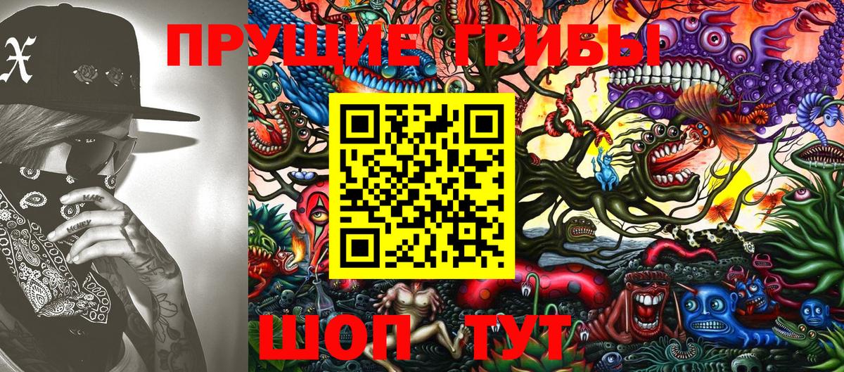 Бор  Псилоцибиновые грибы мухоморы  Вход с VPN 